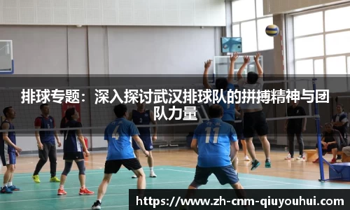 排球专题：深入探讨武汉排球队的拼搏精神与团队力量